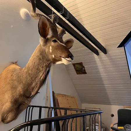 Yggdrasil Country Retreat - 20 Min From Aalborg Holiday home